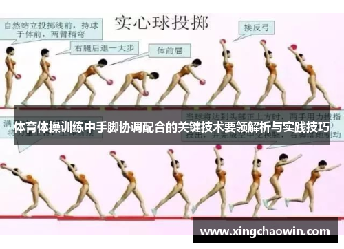 体育体操训练中手脚协调配合的关键技术要领解析与实践技巧