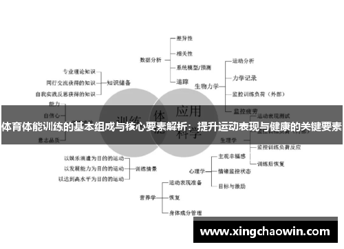体育体能训练的基本组成与核心要素解析：提升运动表现与健康的关键要素