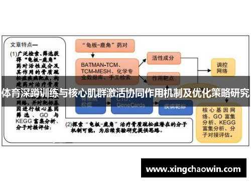 体育深蹲训练与核心肌群激活协同作用机制及优化策略研究